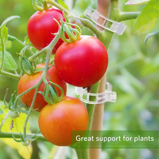 Plant Support Clips Reusable Plastic Connects Vine