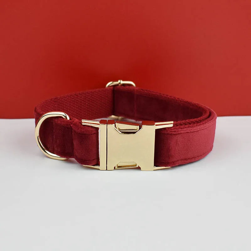 Velvet Collar Free Engrave Dog Collar Leash Dog Collars