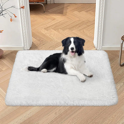 Silk And Wool Carpets Are Soft And Do Not Shed Easily