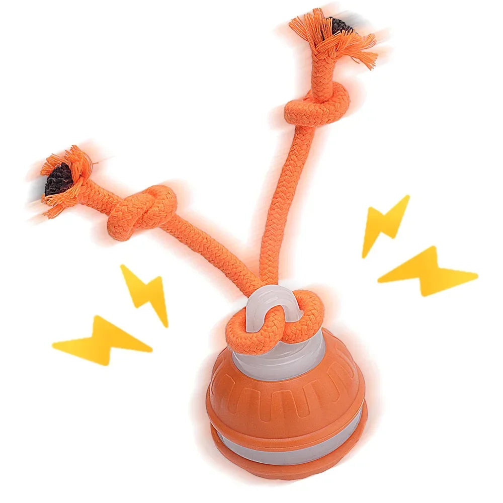Cat Dog Interactive Ball Toy Automatic Rolling Ball