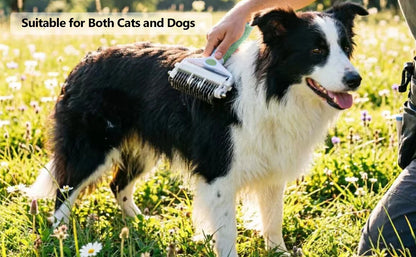 Pet Deshedding Brush 3 in 1 Cat Dog Hair Remover