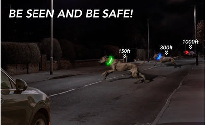 Usb Charging Glowing Dog Collar With Pendant Detachable