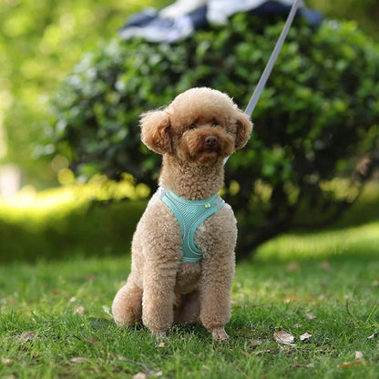 Puppy Harness Set Dog Accessories Adjustable Harness