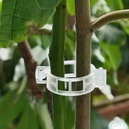 Plant Support Clips Reusable Plastic Connects Vine