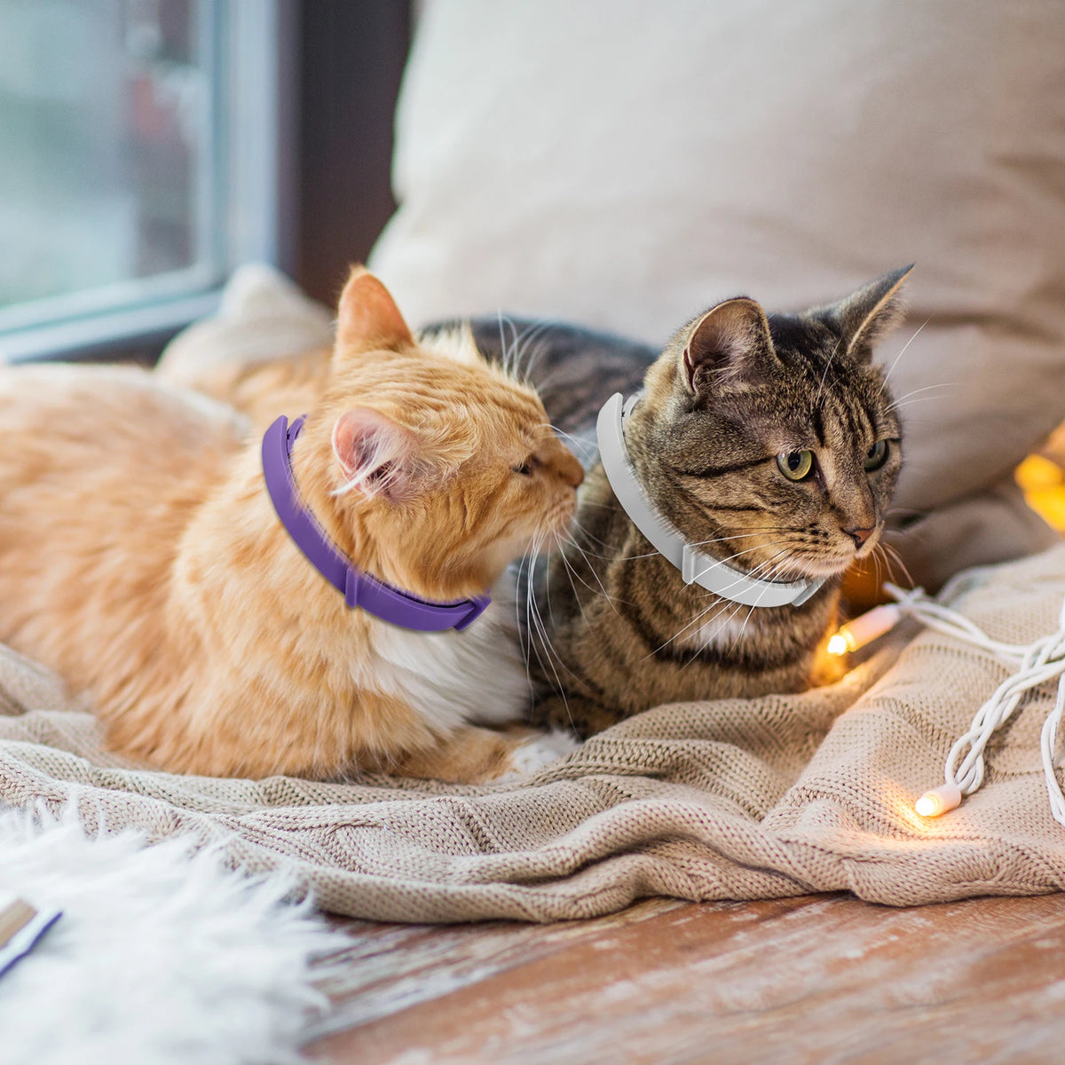 Pet Calming Collar Adjustable Anxiety Pheromone