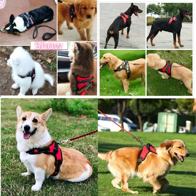 Dog Harness Strong Harness Vest Golden Retriever