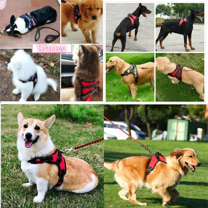 Dog Harness Strong Harness Vest Golden Retriever