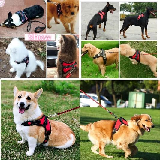 Dog Harness Strong Harness Vest Golden Retriever