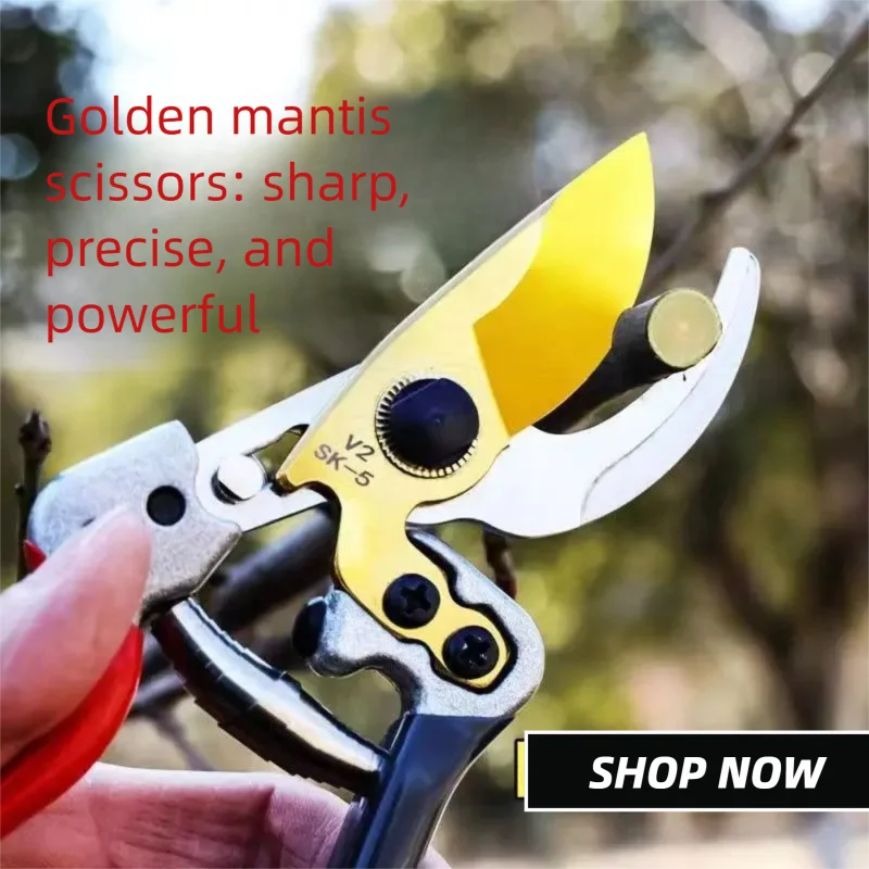 Horticultural Shears Trim Branches Fruit Trees Flowers