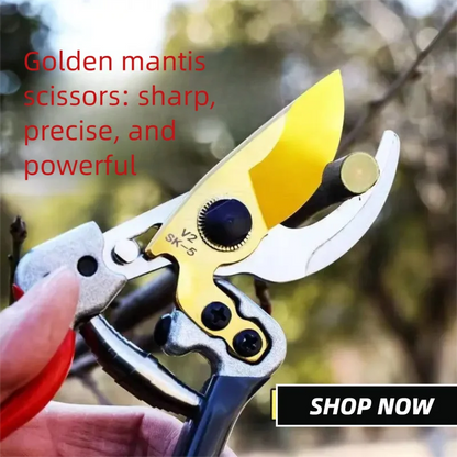 Horticultural Shears Trim Branches Fruit Trees Flowers
