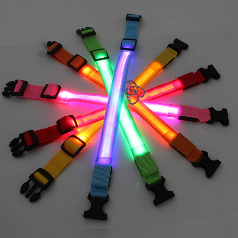 Usb Charging Glowing Dog Collar With Pendant Detachable