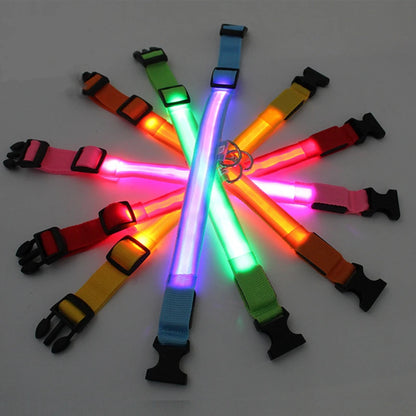 Usb Charging Glowing Dog Collar With Pendant Detachable