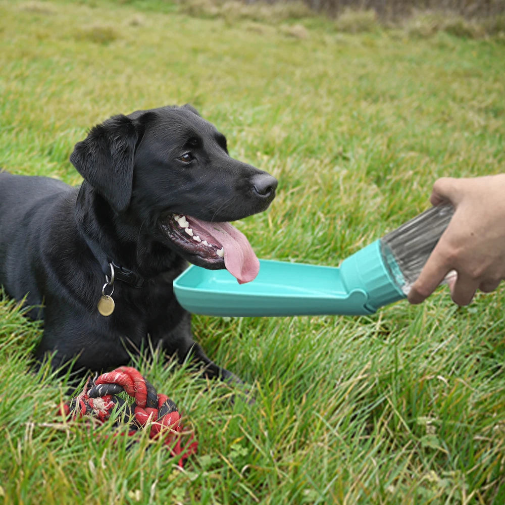 Outdoor Portable Dog Water Bottle Drinking Bowl