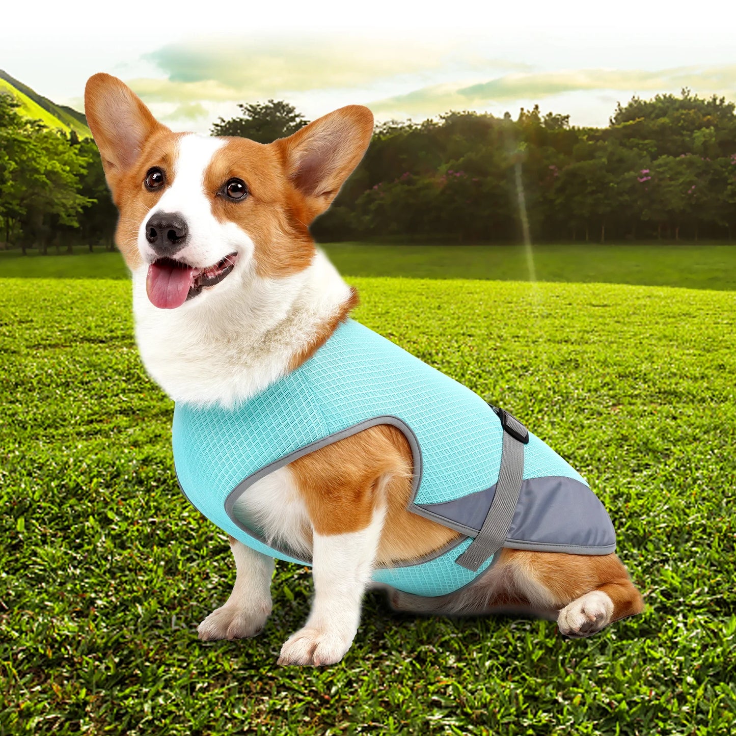 Cooling Vest - Breathable Dog Vest for Hot Summer Days