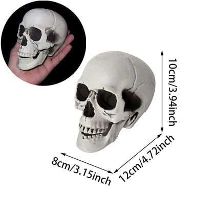 Halloween Skull Decoration,Realistic Plastic Skull,Head Skeleton