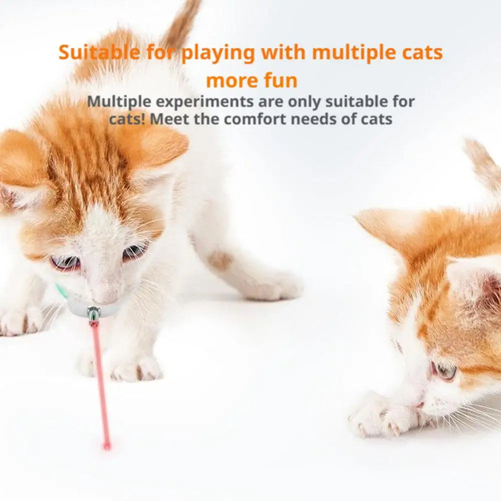 New Smart LED Laser Pet Collar Hands Free Automatic Laser