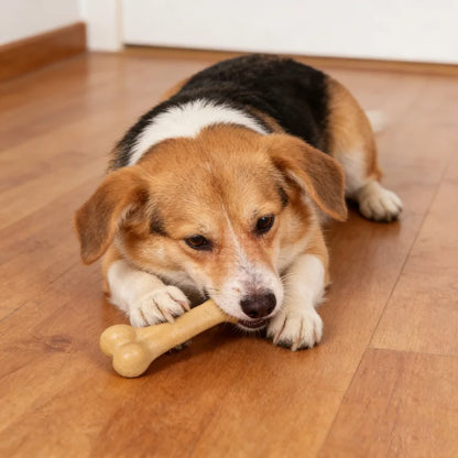 Dog Bone Chews Toys Nearly Indestructible Natural Non-Toxic