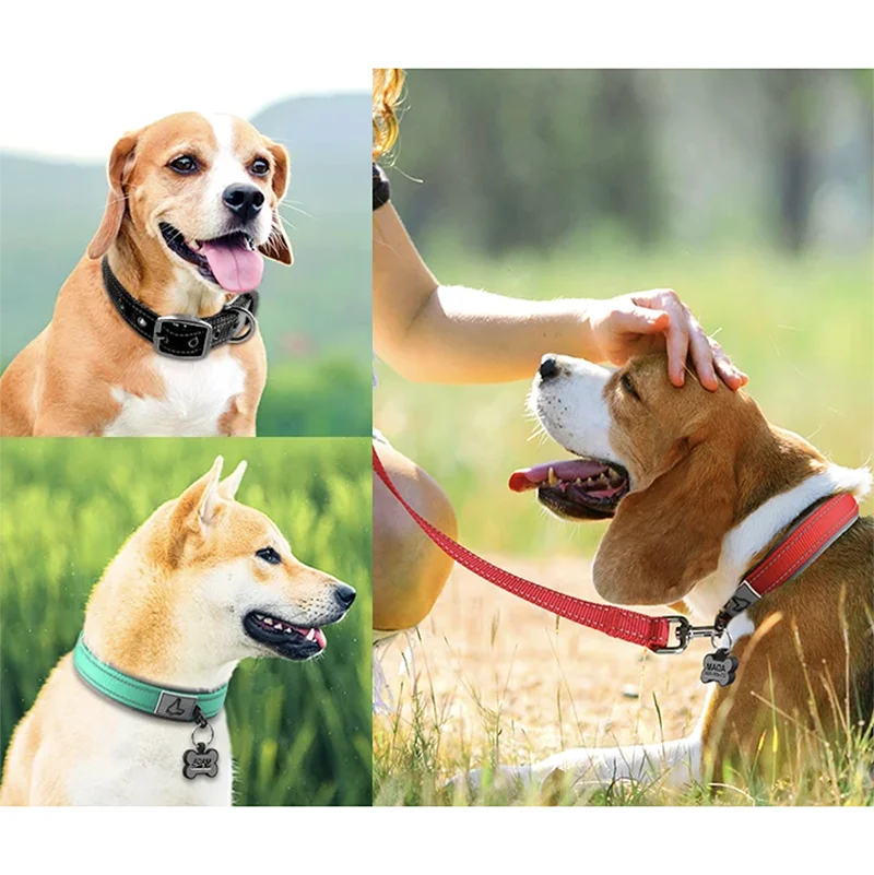 Padded Dog Collars Soft Reflective Wide Pet Collars