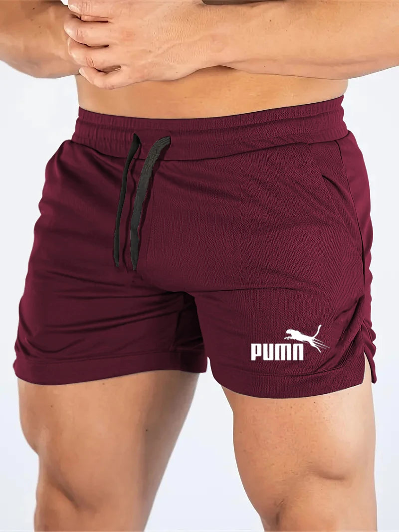 Summer Mesh Quick Drying Shorts Men's Sports
