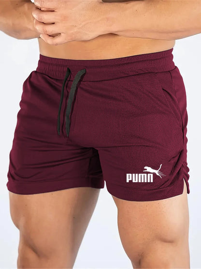 Summer Mesh Quick Drying Shorts Men's Sports