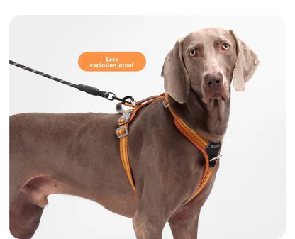 Car Safety Dog Harness with Dual Handle Quick Release