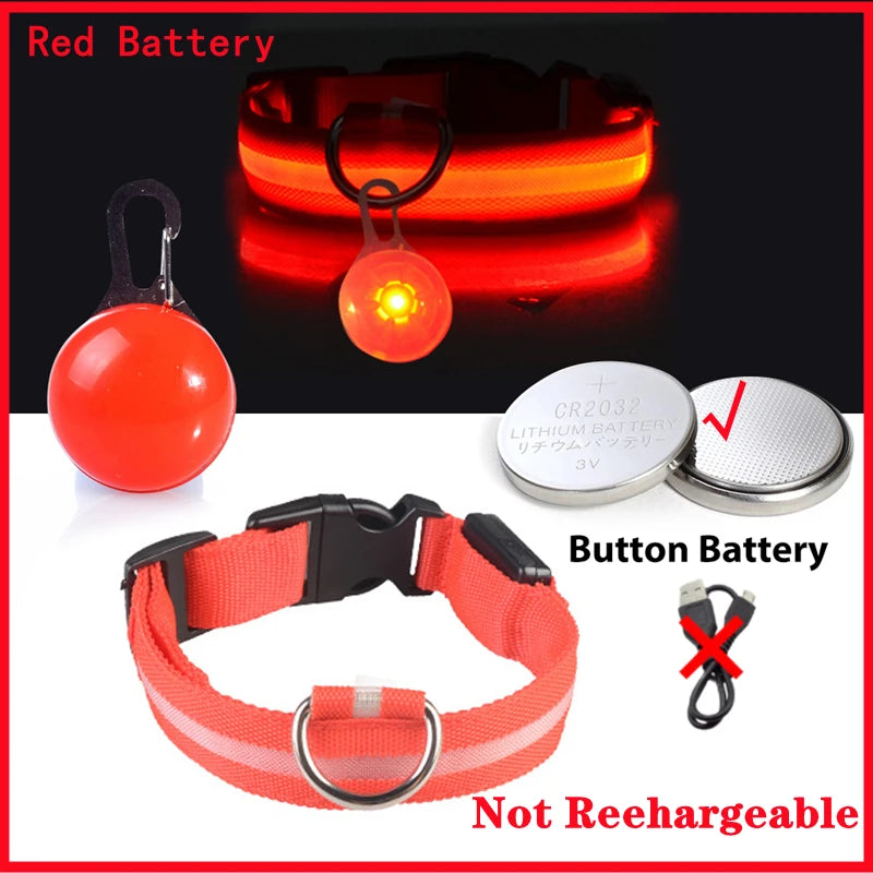 Usb Charging Glowing Dog Collar With Pendant Detachable