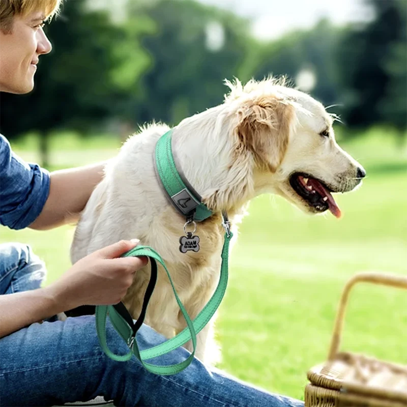 Padded Dog Collars Soft Reflective Wide Pet Collars