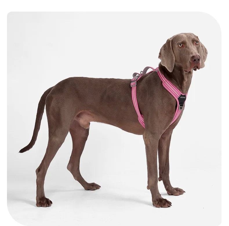 Car Safety Dog Harness with Dual Handle Quick Release