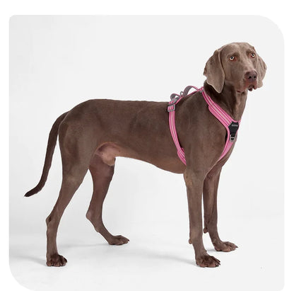 Car Safety Dog Harness with Dual Handle Quick Release