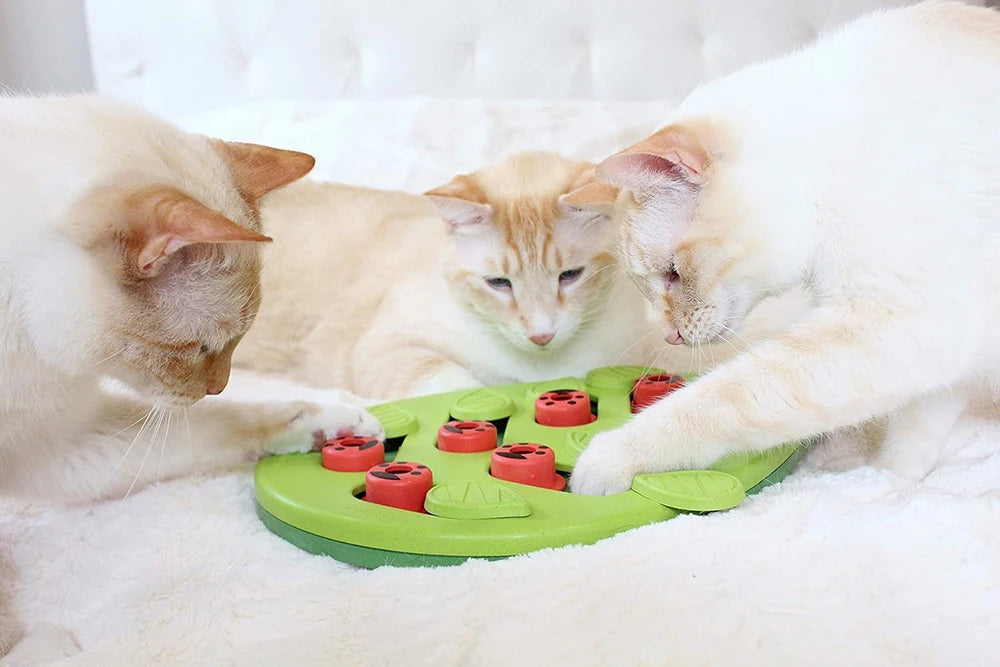 Puzzle Play Toy Pet Puzzle Toy Interactive Slow Feeder