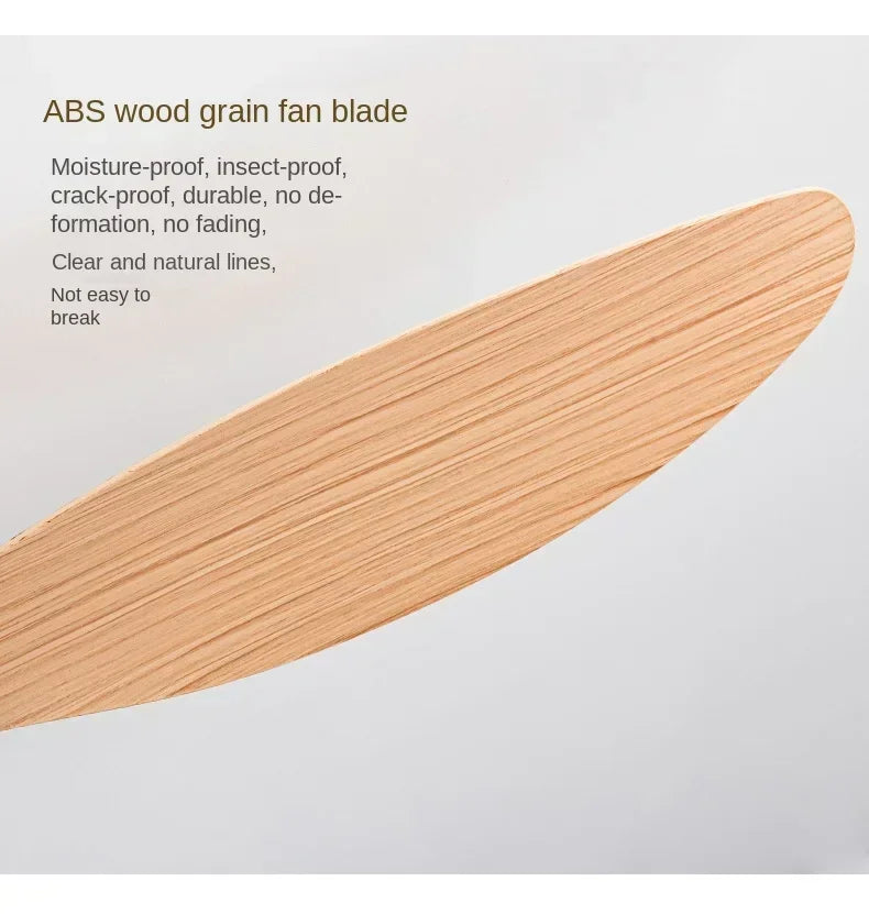 Modern LED Ceiling Fan Lights, Low Floor Decorative Lights