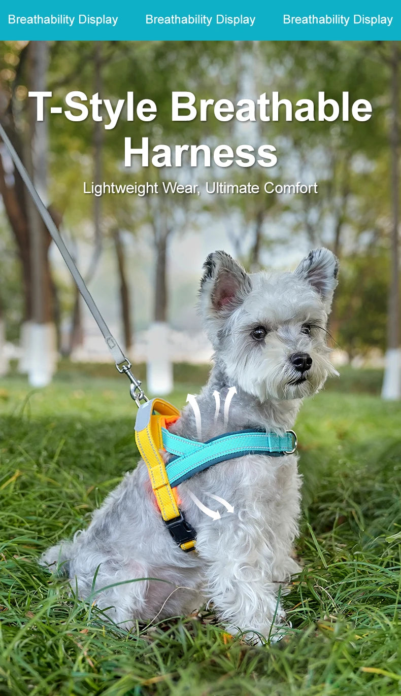 Dog Harness No Pull T-Shape Breathable Spring Summer