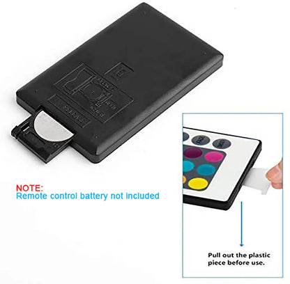 5V USB RGB LED Neon Strip Light 24key Remote Control