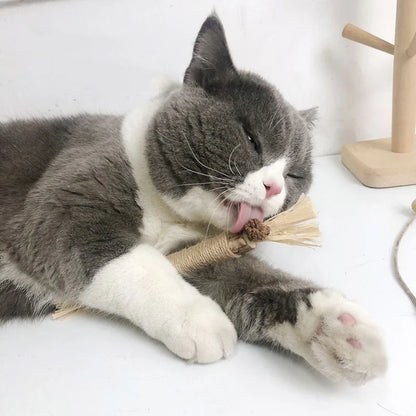 Popular Wood Polygonum teasing cat toy snacks self-hi