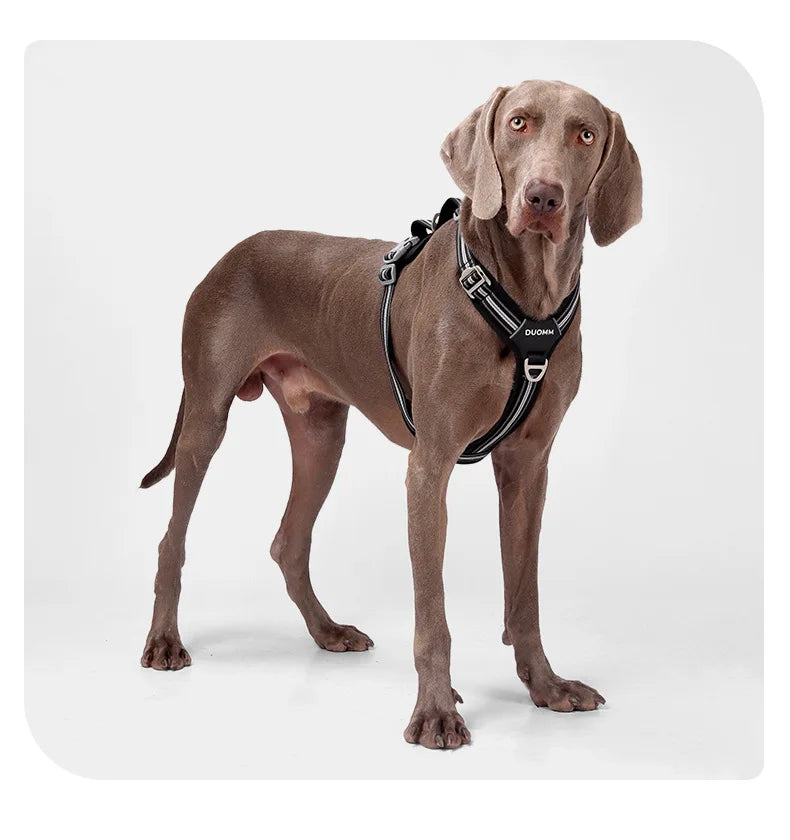Car Safety Dog Harness with Dual Handle Quick Release