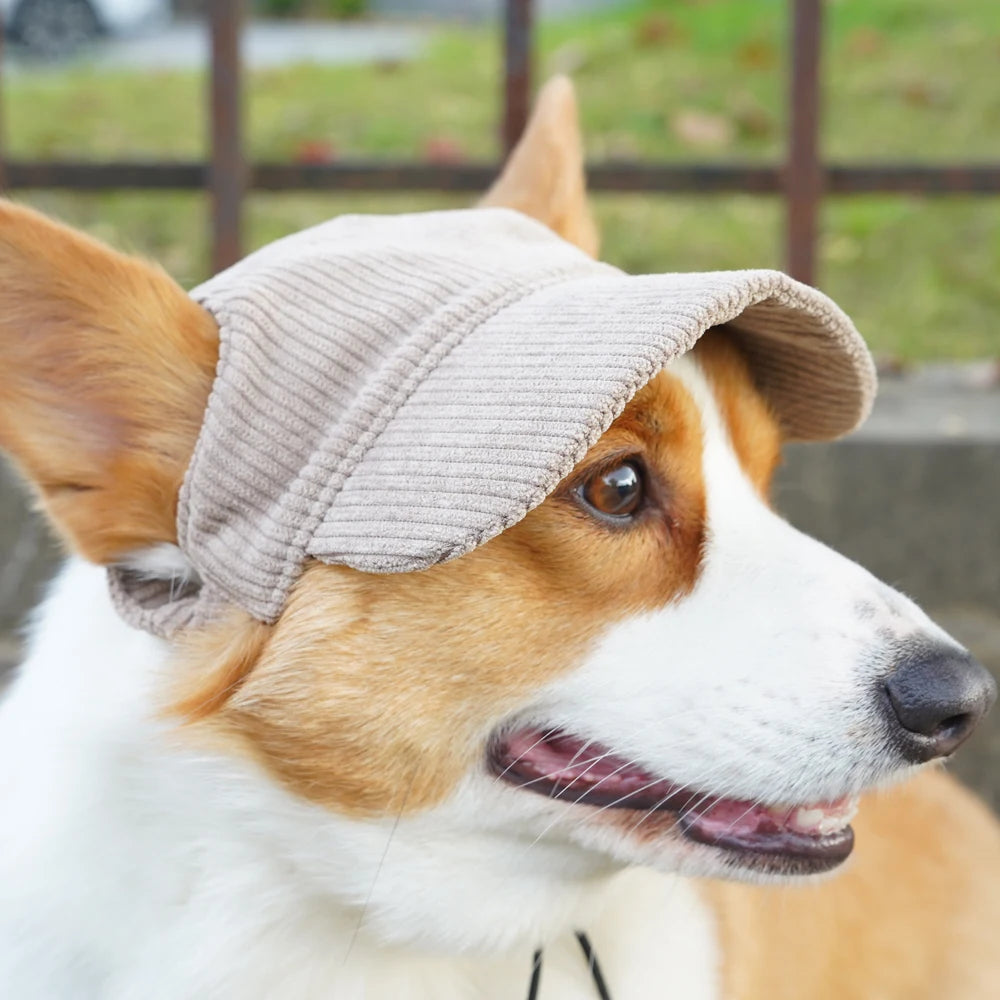 Fashion Big Dog Baseball Cap Durable Corduroy Sun Hat