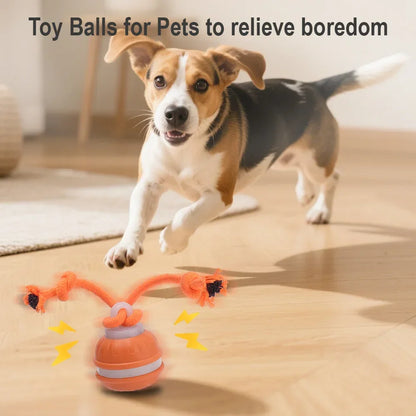 Cat Dog Interactive Ball Toy Automatic Rolling Ball