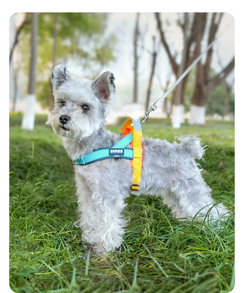 Dog Harness No Pull T-Shape Breathable Spring Summer