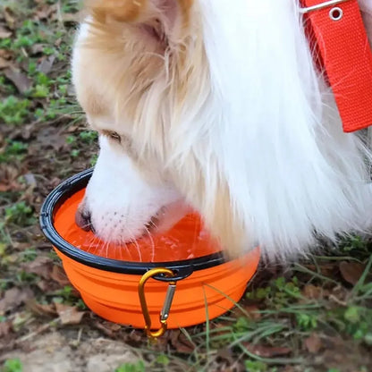 Pet Folding Silicone Bowl Large Outdoor Pet Travel Bowl