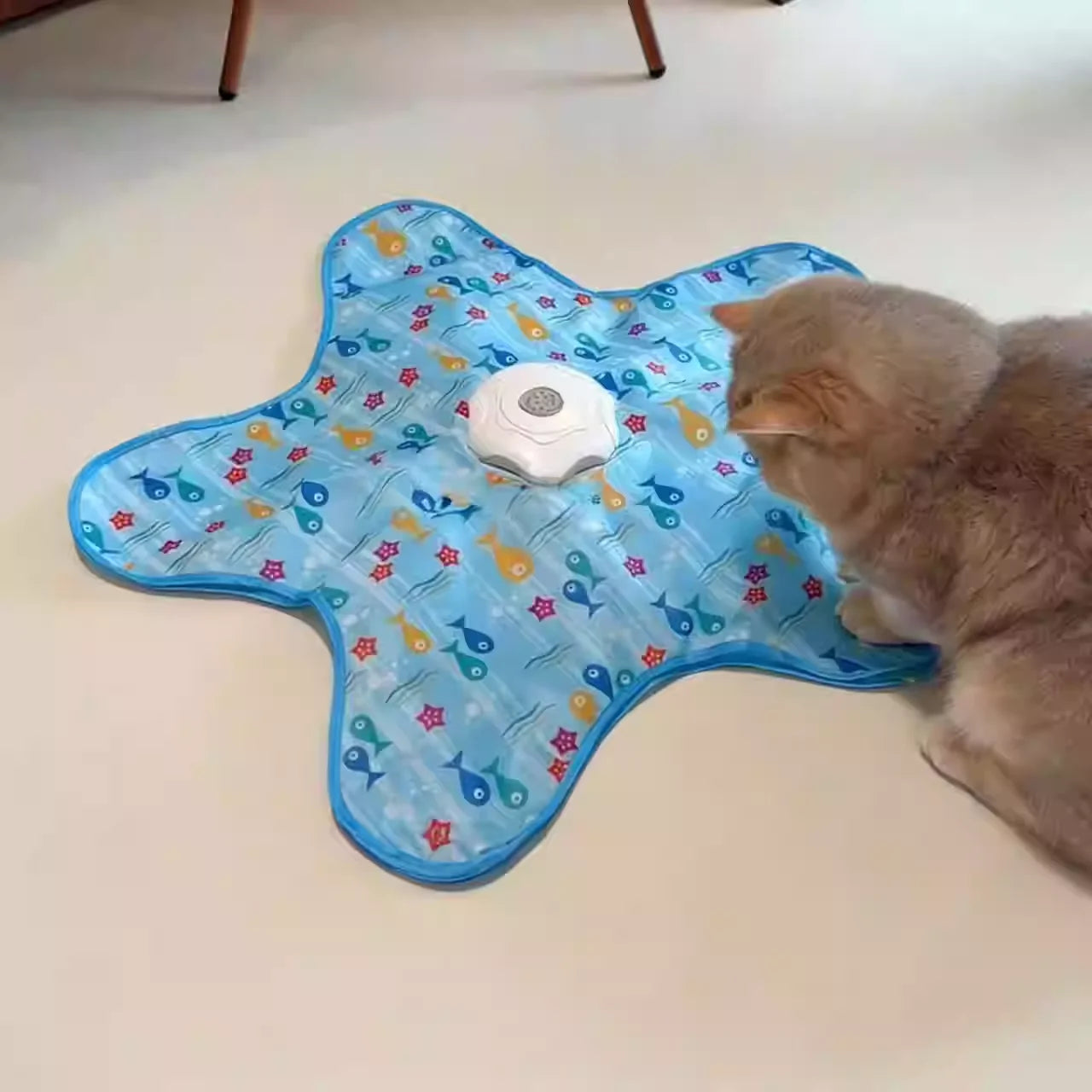 Electric cat turntable pet toy self-stimulating