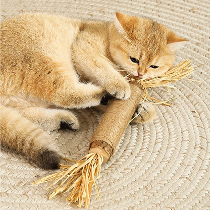 Popular Wood Polygonum teasing cat toy snacks self-hi