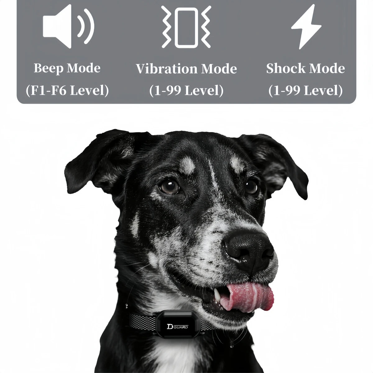 800m Digital Dog Training Collar Shock Vibration Sound