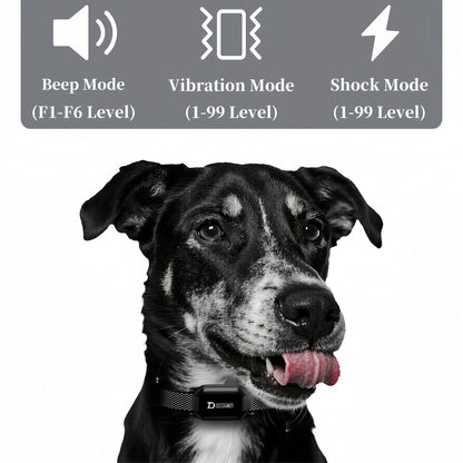 800m Digital Dog Training Collar Shock Vibration Sound