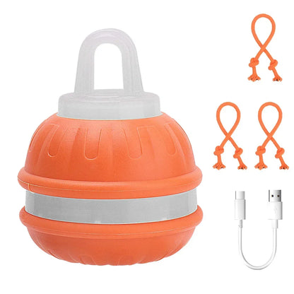 Cat Dog Interactive Ball Toy Automatic Rolling Ball