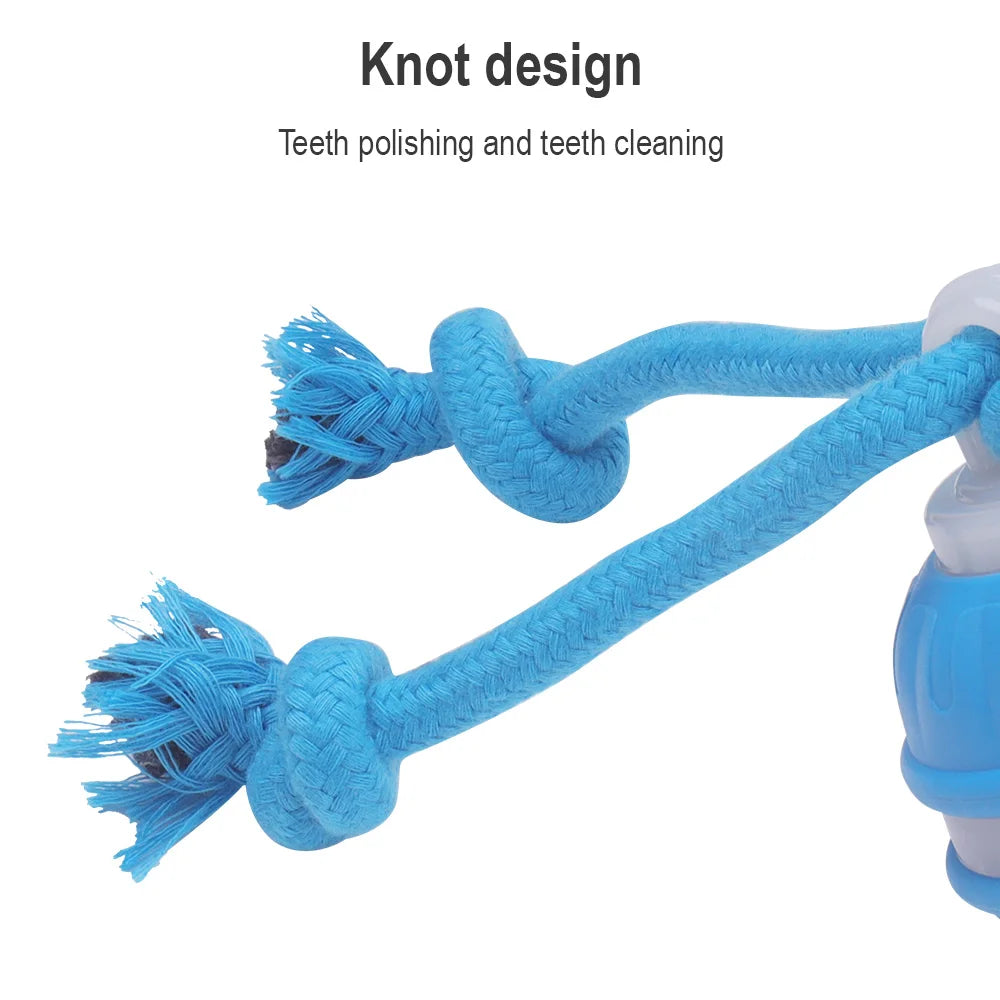 Cat Dog Interactive Ball Toy Automatic Rolling Ball