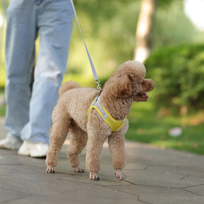 Dog Harness Leash Set for Small Dogs Adjustable Leash