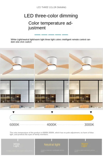 Modern LED Ceiling Fan Lights, Low Floor Decorative Lights