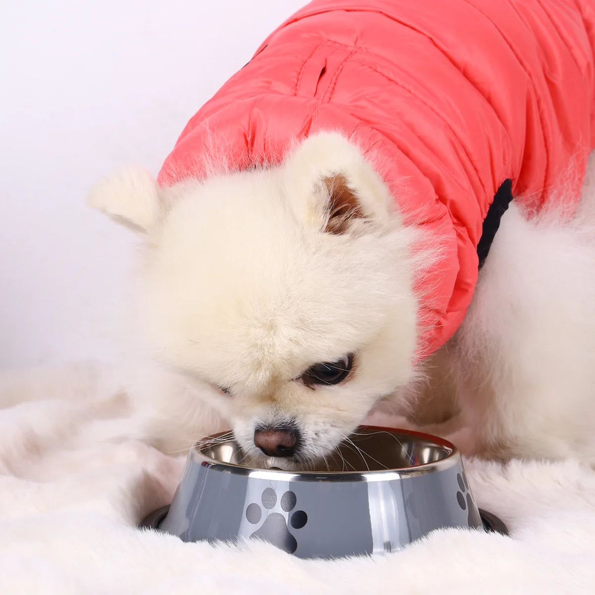 Stainless steel large capacity pet bowl dog food bowl