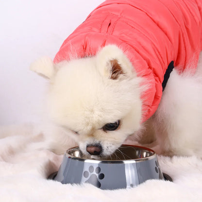 Stainless steel large capacity pet bowl dog food bowl