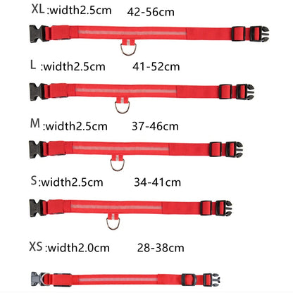 Usb Charging Glowing Dog Collar With Pendant Detachable